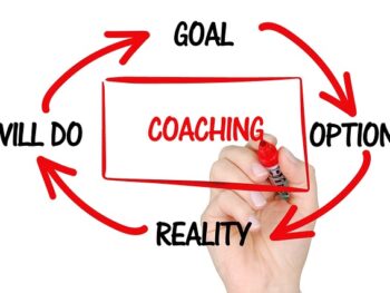 The Role of Executive Coaches in Leadership Development